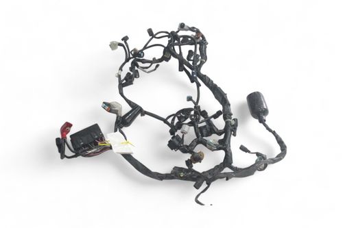 Chicote Principal Honda Cbr 650 R 20-24