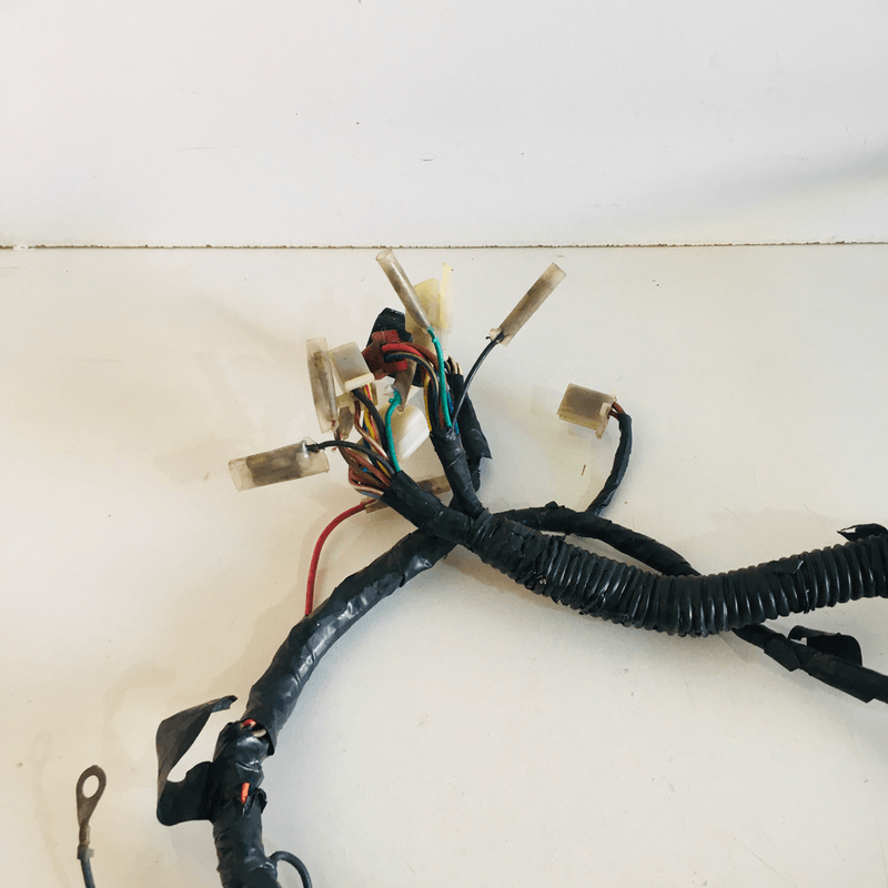 image-0379c91a7eef40378c46429f76fca134