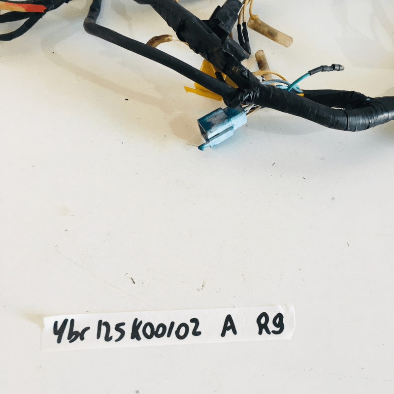 image-d658e60423f347c7bb966dbcf48e1d31