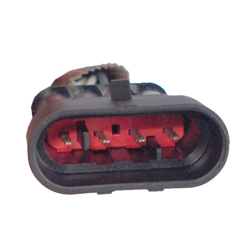 image-350aa77cbd5c451e9cd59cab9a4542c5