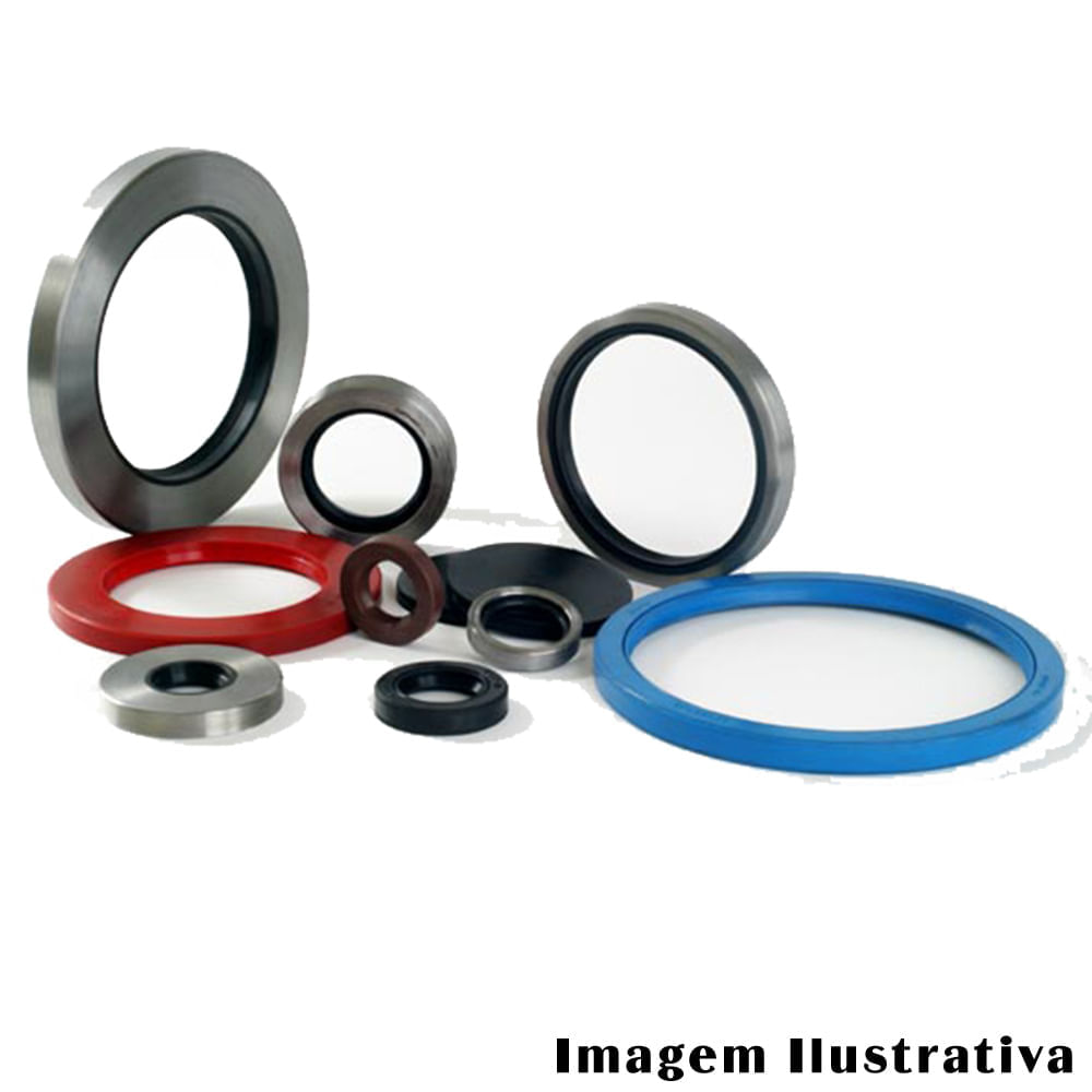 Retentor Haste Válvulas Ford Fiesta 1996 a 1999 - 199731 - 9239BREF ...