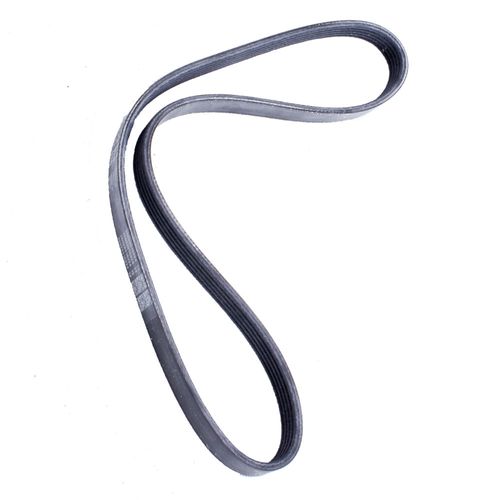 Correia Poly V Renault Clio 2000 a 2007 - 135770 - 5PK910