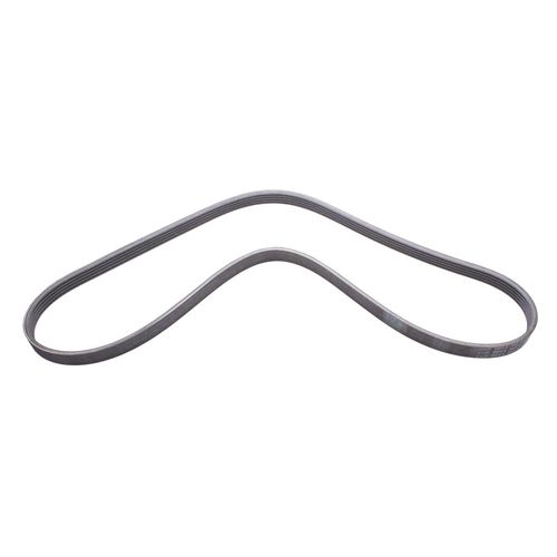 Correia Poly V Renault Scenic 1999 a 2012 - 163674 - 5PK1100
