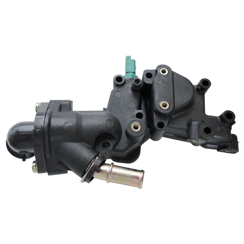 Válvula Termostática Citroen C2 2003 a 2005 - 171671 - 115989