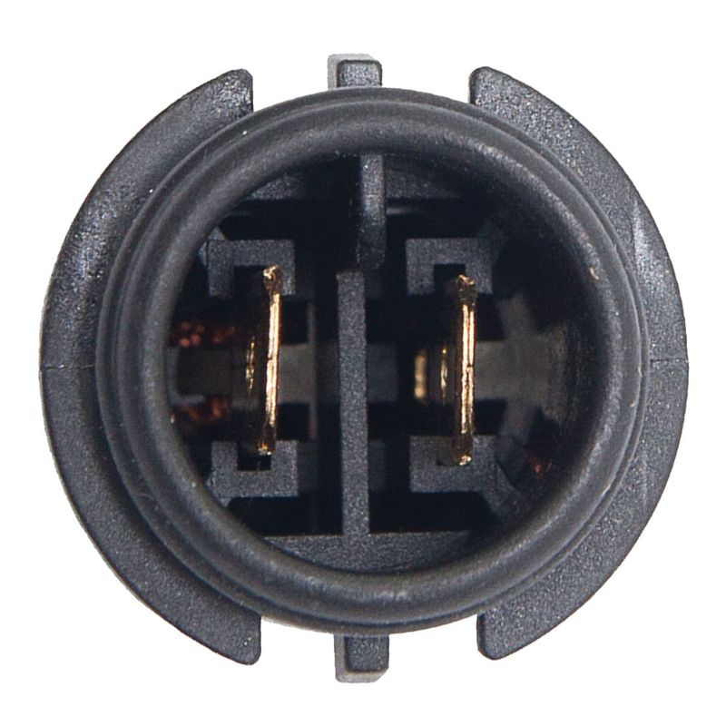 image-52eff08eb82042bba2fed71a219c2f33