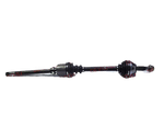 image-cfe57cd9ee8e4941af5cdddc86eb43f5