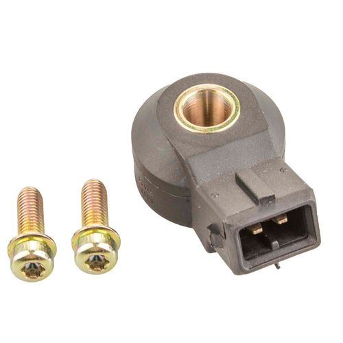 Sensor Detonação Seat Cordoba 2000 a 2002 - 517771 - 7021