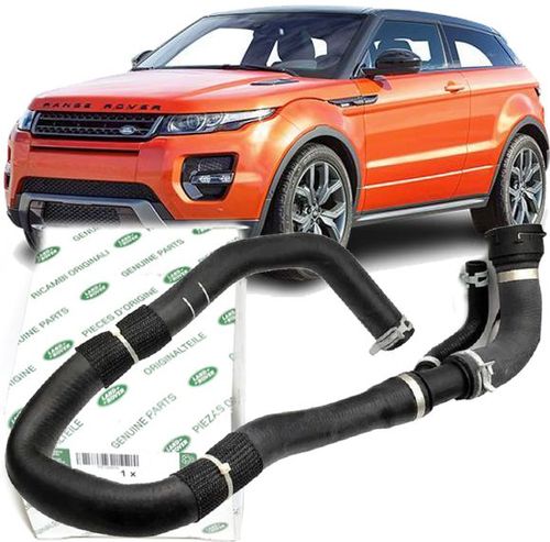 Mangueira Inferior Do Radiador Land Rover Evoque 2.0 16v Turbo De 2011 À 2018 - Original