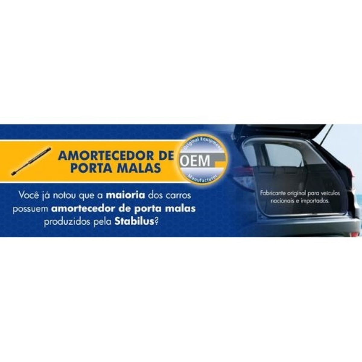 Castanha do Pará sem Casca Benassi 100g