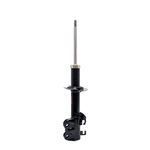 AMORTECEDOR-CAMINHAO-VERSA-D-11--GP30530D-VERSA-11--DIANT-LD-