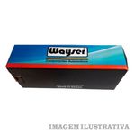 CIL-AUX-EMBR-TOPIC-93--55087-WAYSER---PECA--CIL-AUX-EMBR-TOPIC-93--55087-WAYSER---PECA-_1