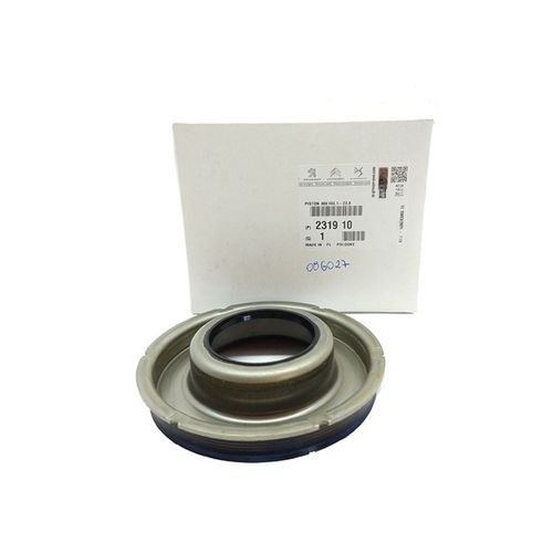 PISTAO CÂMBIO PEUG/REN E2 AL4 231910 PSA   PEÇA