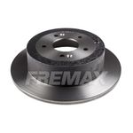 D-FREIO-SANTA-FE-SORENTO-T-BD5110-FREMAX---Par--D-FREIO-SANTA-FE-SORENTO-T-BD5110-FREMAX---Par-_2