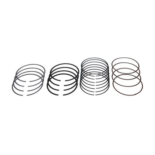 ANEL DE MOTOR - FIAT PALIO/ SIENA/ UNO 1.0L 8V EVO FLEX - APEX