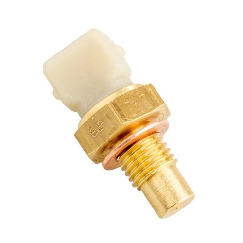Interruptor Térmico R21 1990/2000 - 41513 - 4038