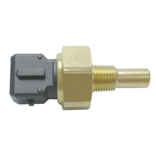 Cebolinha Temperatura FOCUS 2000/2015 - 39411 - 4026