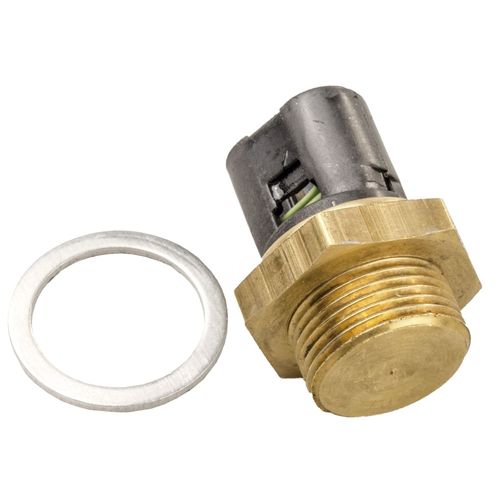 Interruptor Cebolao Radiador CLIO 1990/1996 - 21632 - 18219282
