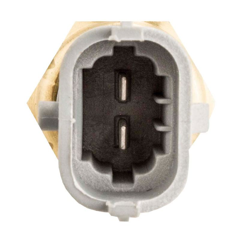image-2c481cdc4ab24506bf454f45a92aff99