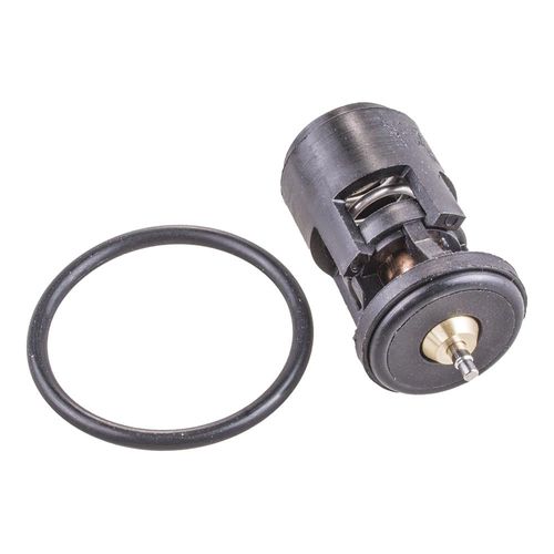 Termostato POLO 2001/2003 - 29231 - 224587