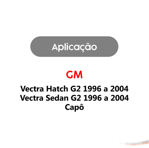 Par Amortecedores Capô Xsara 98 A 03  59,8 Cm X  33,8 Cm