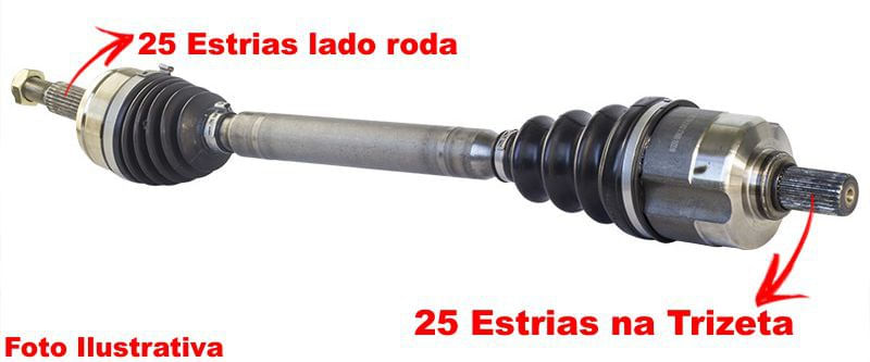 image-d02d87cd896947708f1d023598b9d79e
