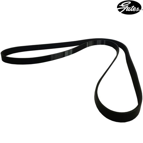 Correia do Alternador com Ar e Direção Hidráulica Ford Ka Courier Fiesta Escort e Clio Kangoo Logan Megane Sandero Symbol Duster 1.6 16v 2009 até 2018