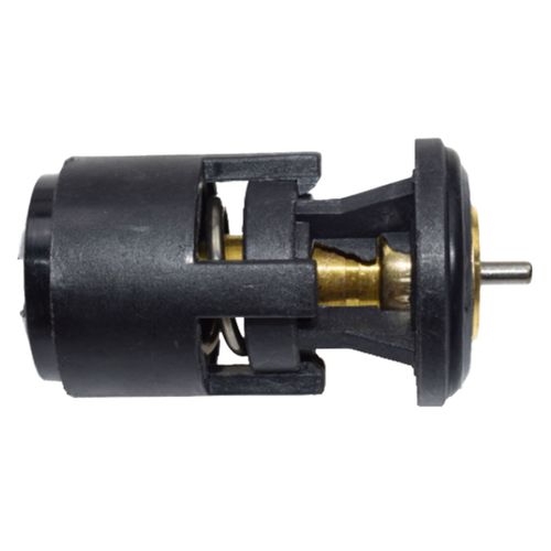 Termostato PARATI 2002/2004  - 67660 - AVTS01002T87