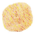 image-17c65a6d030f44fd868399908624d37c