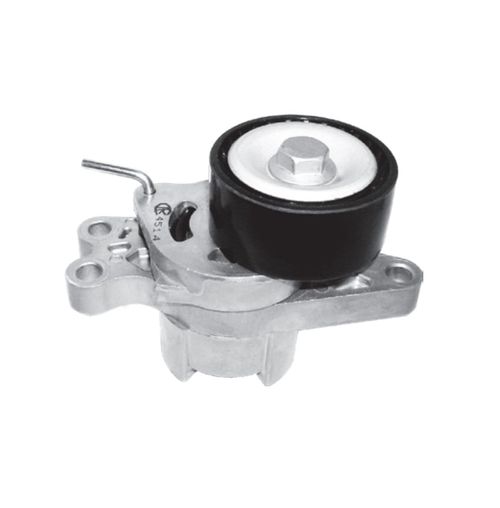 Rolamento Correia Poly V Alternador Berlingo Picasso Xsara 206 207 307 Partner Hoggar 2001 em diante Ranalle RO4514