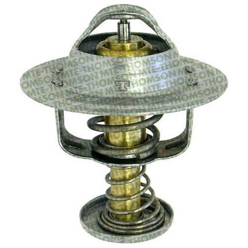 60973 Válvula Termostática Série Ouro /  MTE-THOMSON