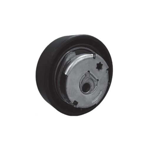 Tensor da Correia Dentada Kangoo Logan Sandero Symbol 2009 em diante Ranalle R4625