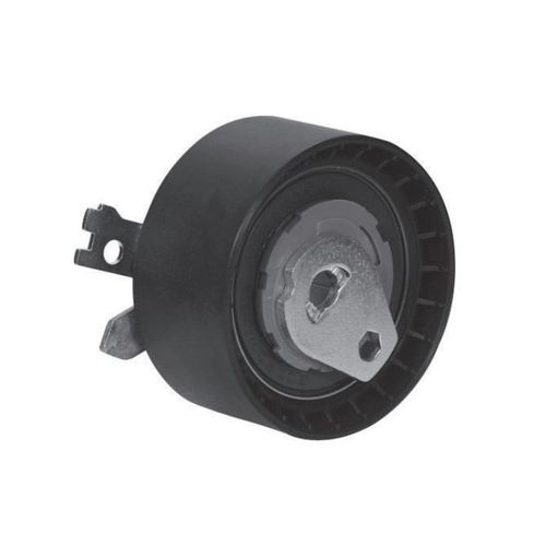 Tensor da Correia Dentada Livina March Tiida Clio Duster Fluence Kangoo Logan Mégane Sandero Scénic Symbol 1998 em diante Ranalle R4619