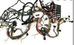 image-70eee2ec81174ce29c49082b351a25eb