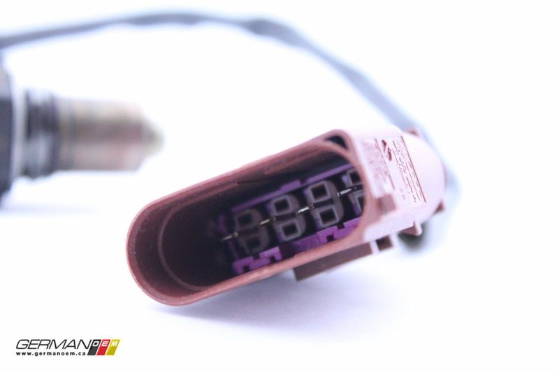 image-03f8ad6ddcdd46bf8c28660dbb7d12ac