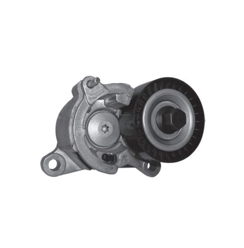 Tensor da Correia de Acessórios C4 C5 C8 307 406 407 807 2001 em diante Ranalle R4510