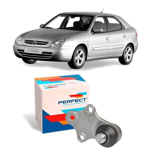 Pivo Citroen Xsara 1997 A 2006 18Mm Longo