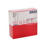 image-d1e956dae6ea4fea8b0132cfb98bc00f